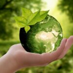 nature, earth, sustainability, leaf, caution, cycle, green, ecology, globe, world, sustainable, environment, protect, recycling, hand, keep, photomontage, composing, composition, fantasy, imagination, earth, earth, earth, sustainability, sustainability, sustainability, sustainability, sustainability, ecology, sustainable, recycling